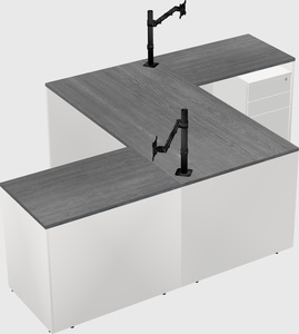 Executive shared desk