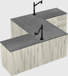 Executive shared desk