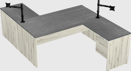 Executive shared desk