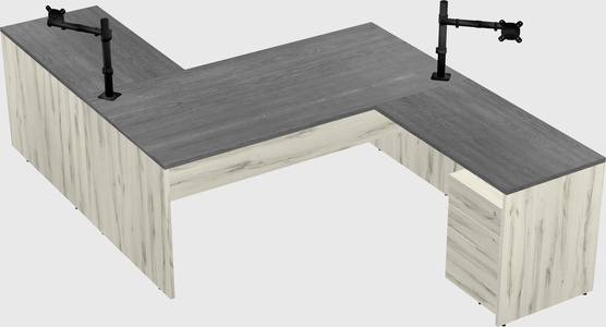 Executive shared desk