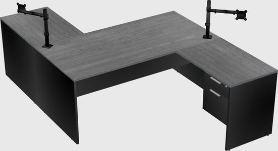 Executive shared desk