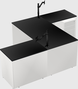 Executive shared desk
