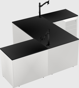 Executive shared desk