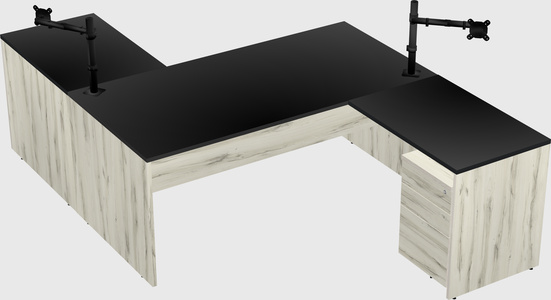 Executive shared desk