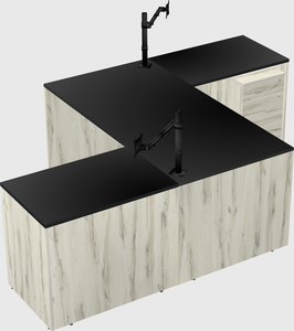 Executive shared desk