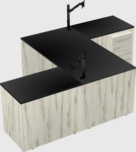 Executive shared desk