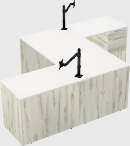 Executive shared desk
