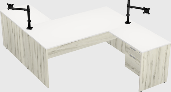 Executive shared desk