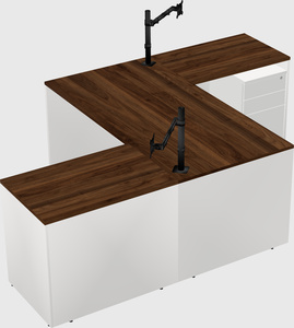 Executive shared desk