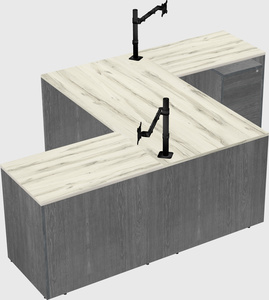 Executive shared desk