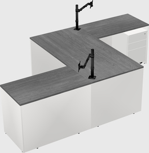 Executive shared desk
