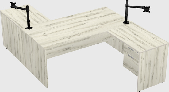 Executive shared desk