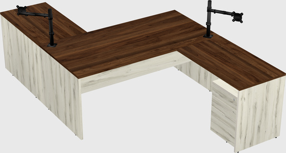 Executive shared desk