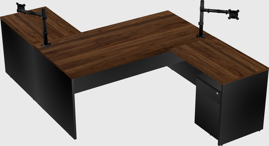 Executive shared desk