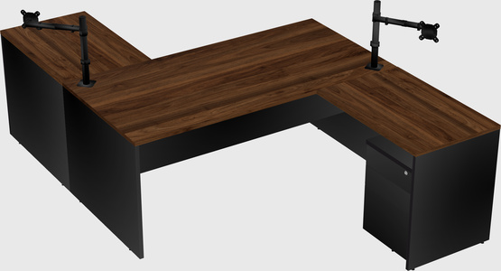 Executive shared desk