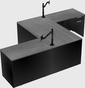 Executive shared desk