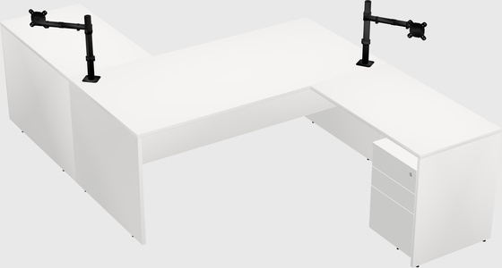 Executive shared desk