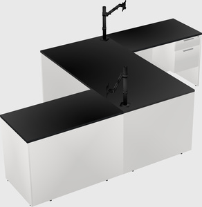 Executive shared desk