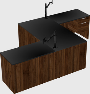 Executive shared desk