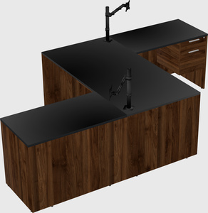 Executive shared desk