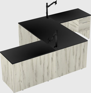 Executive shared desk