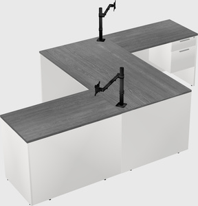 Executive shared desk