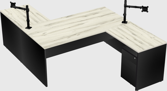 Executive shared desk