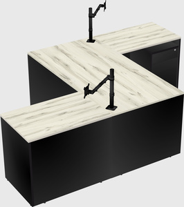 Executive shared desk