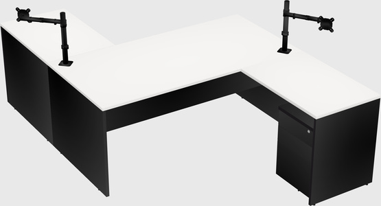 Executive shared desk