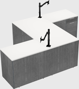 Executive shared desk