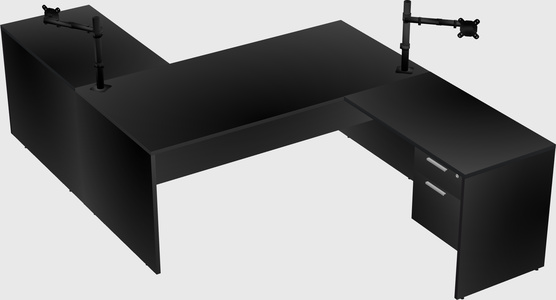 Executive shared desk