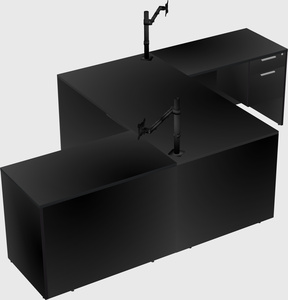 Executive shared desk