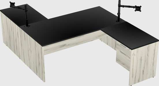 Executive shared desk