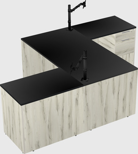 Executive shared desk