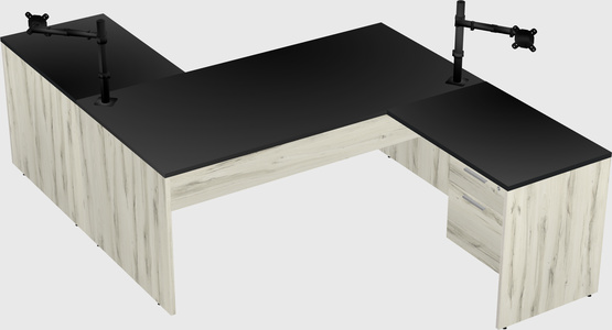 Executive shared desk