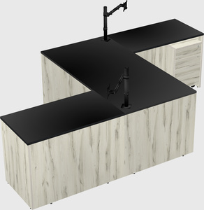 Executive shared desk