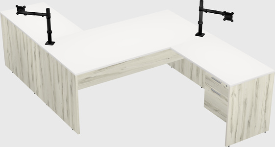 Executive shared desk