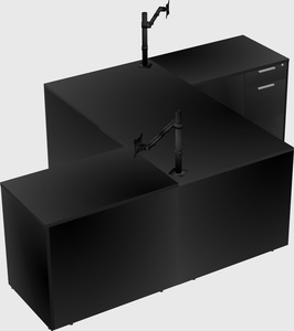 Executive shared desk