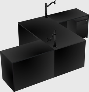 Executive shared desk