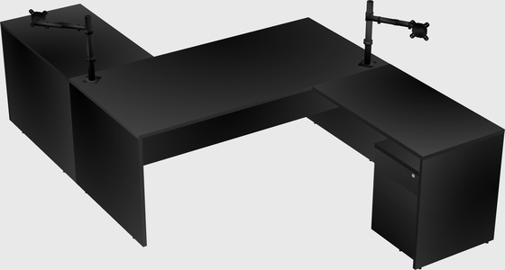 Executive shared desk