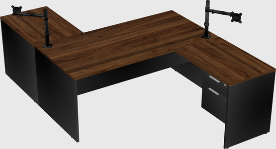 Executive shared desk