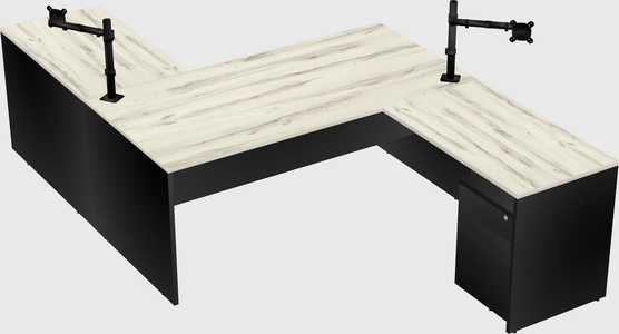 Executive shared desk