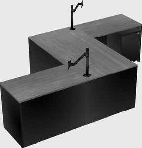 Executive shared desk