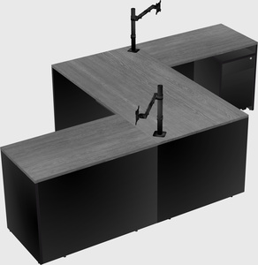 Executive shared desk