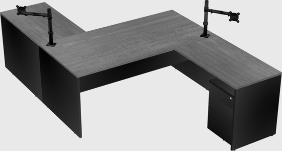 Executive shared desk