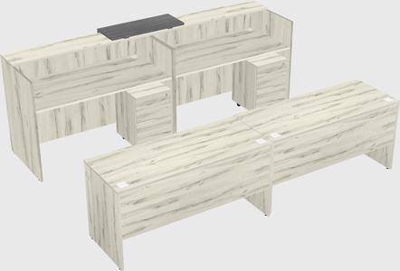 Shared u-shaped reception desks