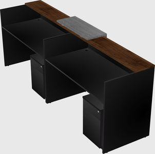 Shared u-shaped reception desks