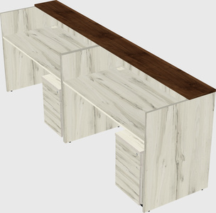 Shared u-shaped reception desks