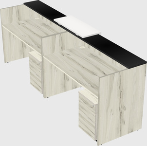 Shared u-shaped reception desks