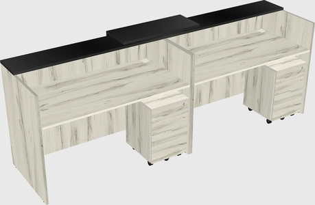 Shared u-shaped reception desks
